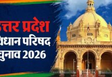 MLC Election 2026,
