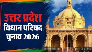 MLC Election 2026,