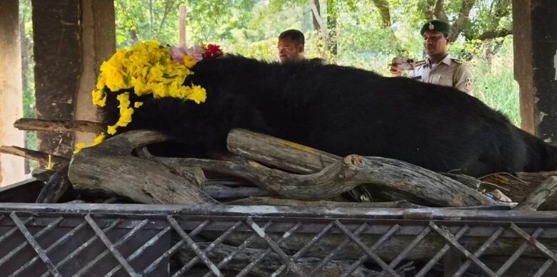 Nandanvan Zoo Raipur